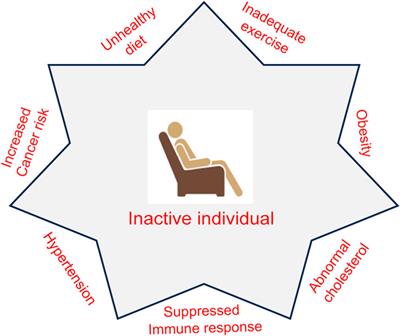 Immunomodulatory effects of exercise in cancer prevention and adjuvant therapy: a narrative review